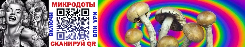 Псилоцибиновые грибы MAGIC MUSHROOMS наркотики hydra сайт Калининград