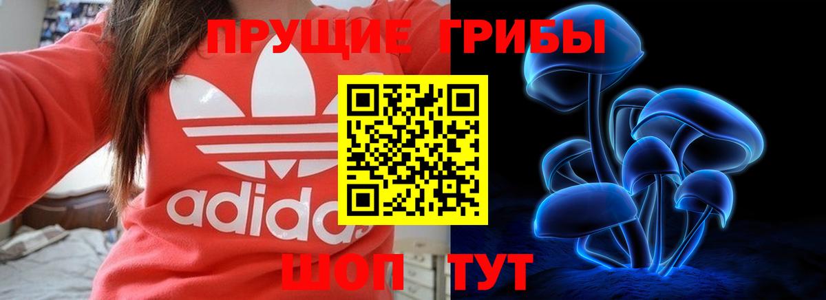 Калининград  Галлюциногенные грибы MAGIC MUSHROOMS  где можно купить наркотик  Вход с VPN 